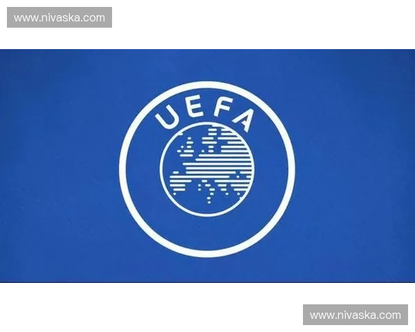 欧协联首页——连接欧洲与世界的合作新门户